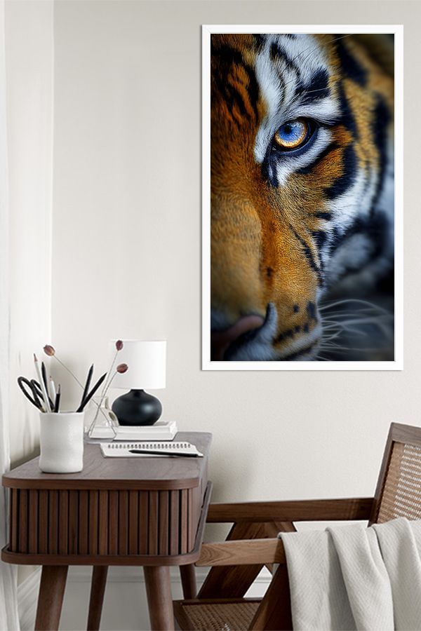 Tiger gaze