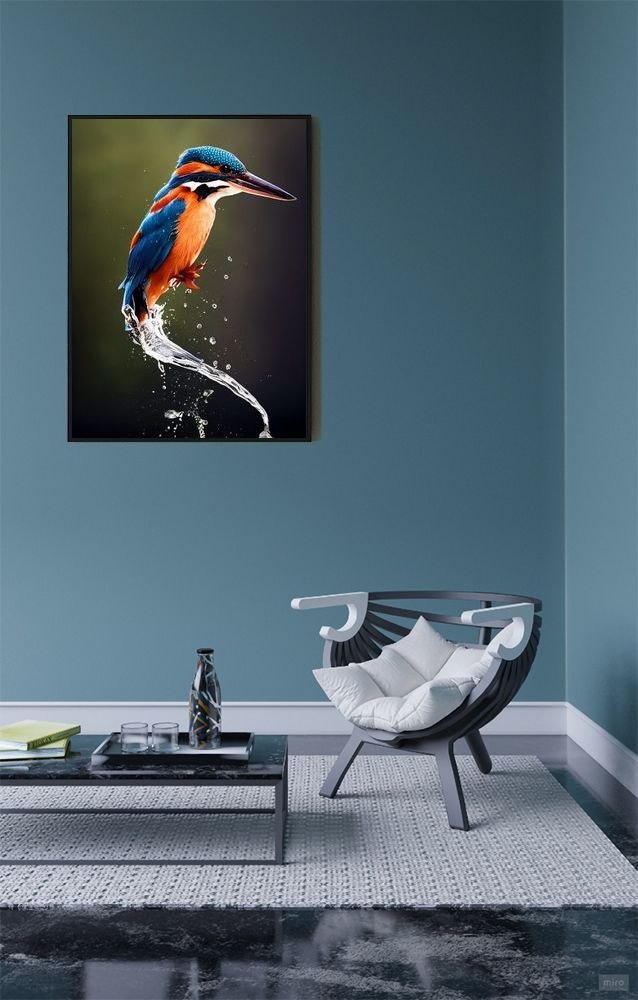 Eisvogel