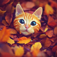 Thumbnail for Katze in Blättern